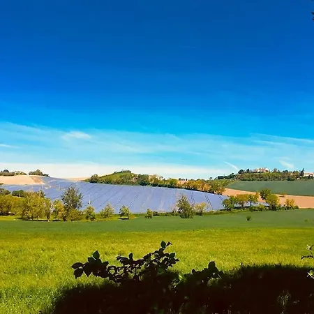 Domaine D'en Naudet * Teyssode