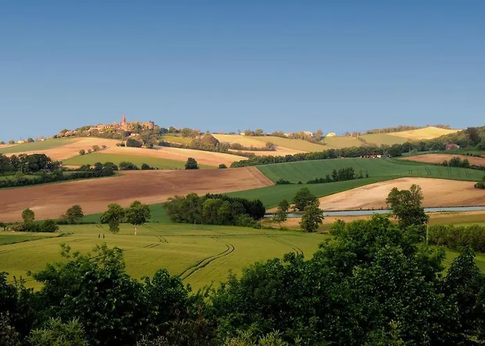 Domaine D'en Naudet Teyssode
