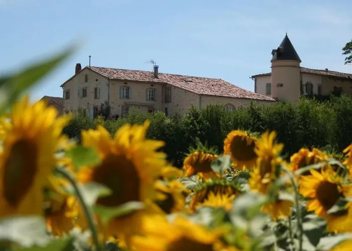 Bed & Breakfast Domaine D'en Naudet Teyssode